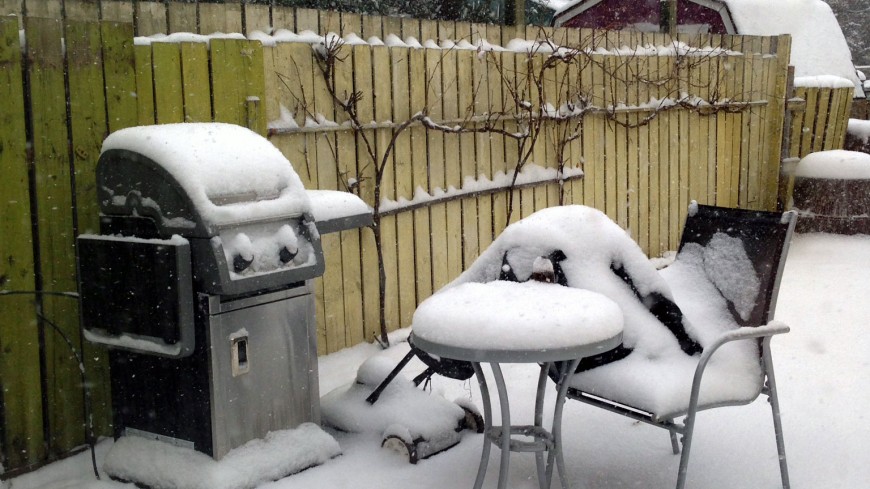 Our backyard covered in snow